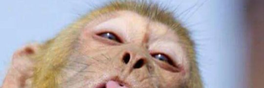 embot_zu's profile banner image