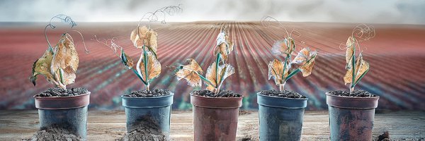 FusLegLab_IAS Profile Banner