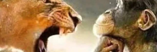 mendoza_deks's profile banner image