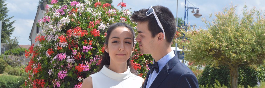 dorigtr's profile banner image