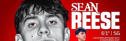 SeanReeseHoops banner