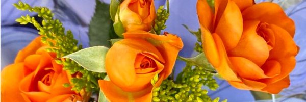 Alba868 Profile Banner