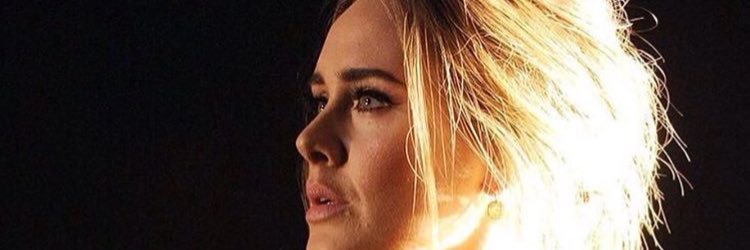 silverdustgypsy's profile banner image