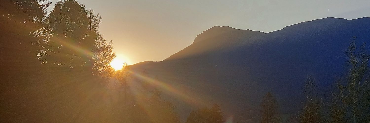 AustrianLady 🇦🇹 banner