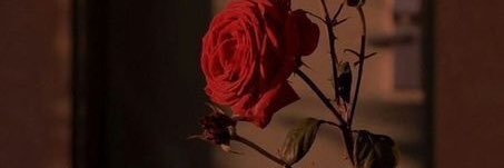 itsxpatri's profile banner image