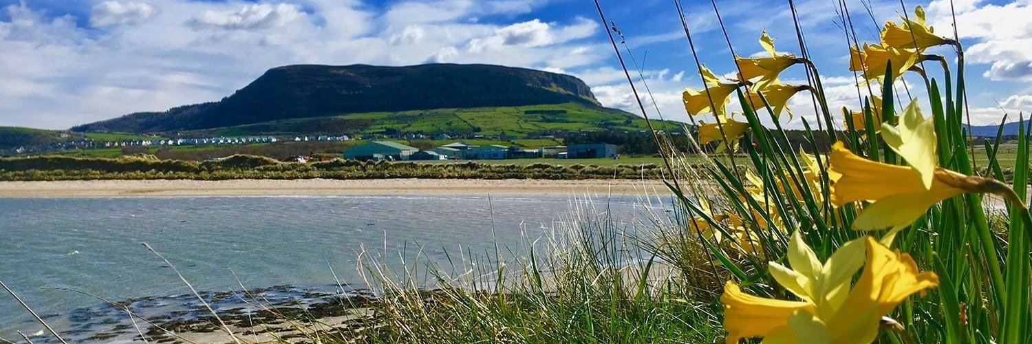 Patrick Henry banner