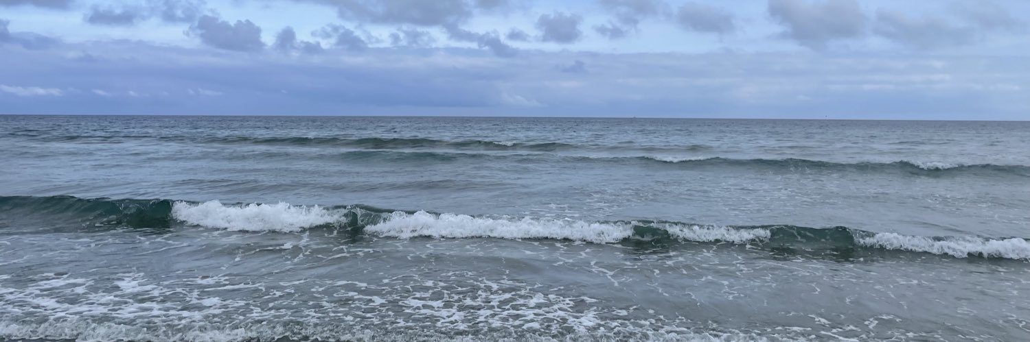 crocodiles-no-swimming banner