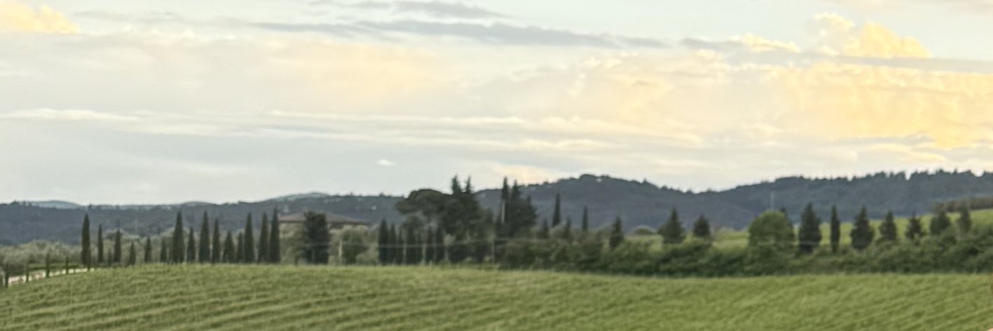 LauRuizAl's profile banner image