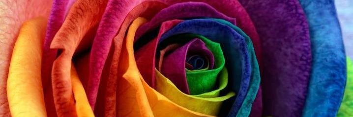 LemouchiMeryem's profile banner image