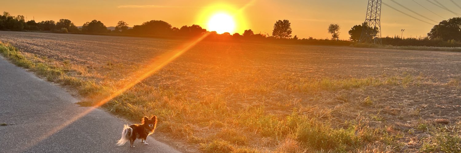 WunderFrulein's profile banner image