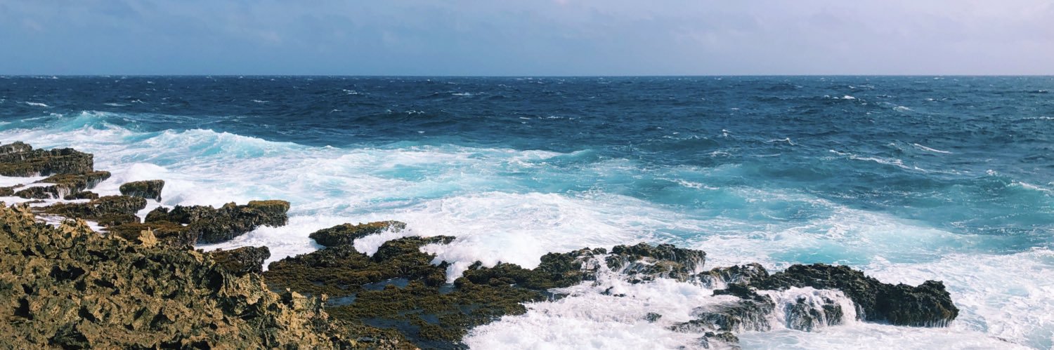 linseyacostaa's profile banner image