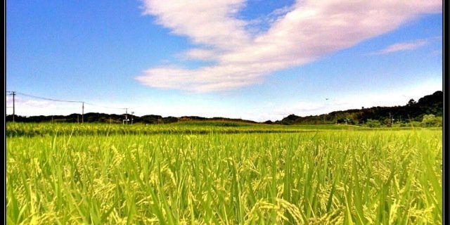hiroakeeeen's profile banner image