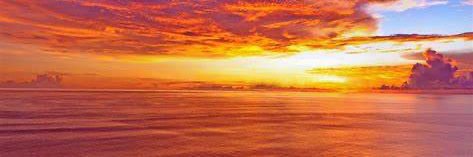donnatobin's profile banner image