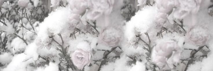 𝚁𝚑𝚎𝚊.𝚎𝚡𝚎 banner