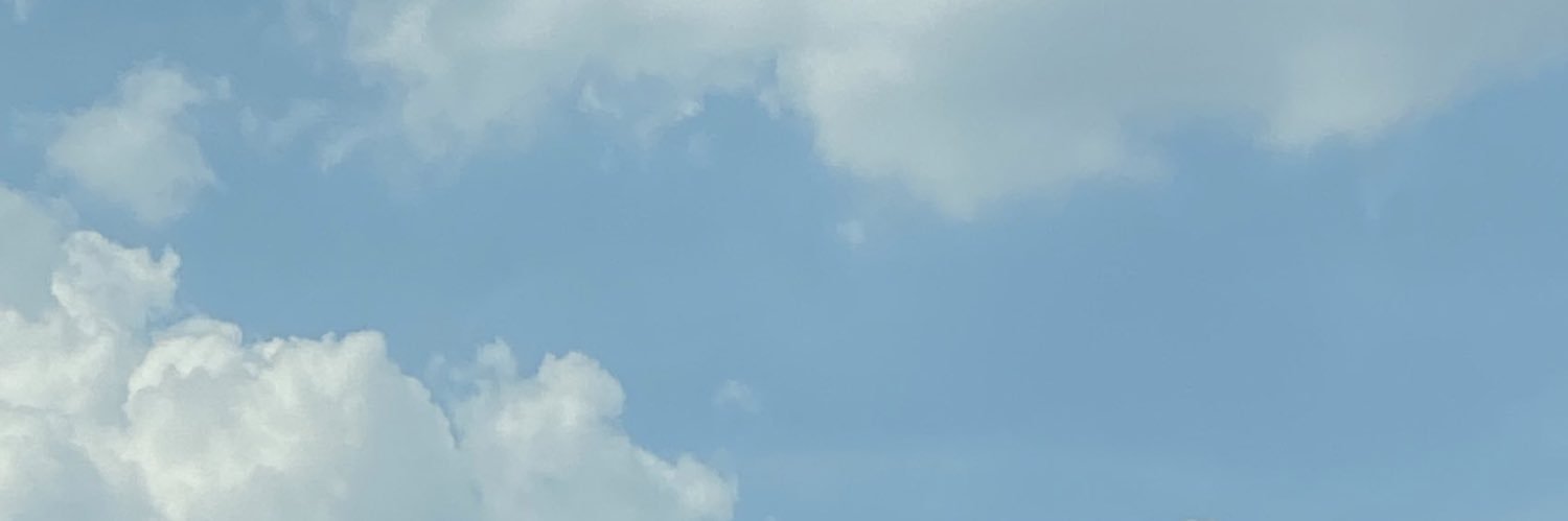 GerArr110's profile banner image