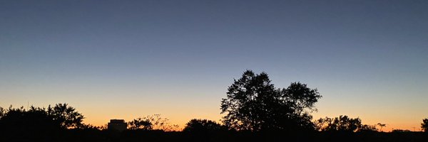 WhyBlitz Profile Banner