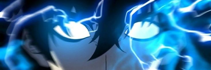 LevelingSolo24's profile banner image