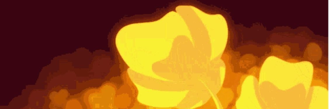 Flowey the flower! banner