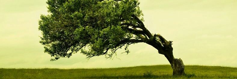 gezaanti's profile banner image