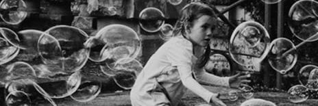 Alice L Wadsworth banner