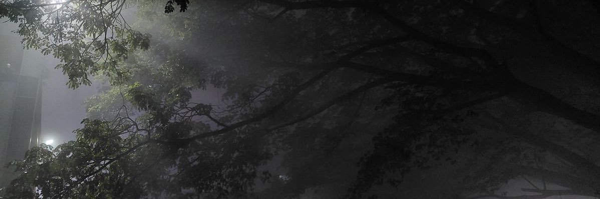 colton banner