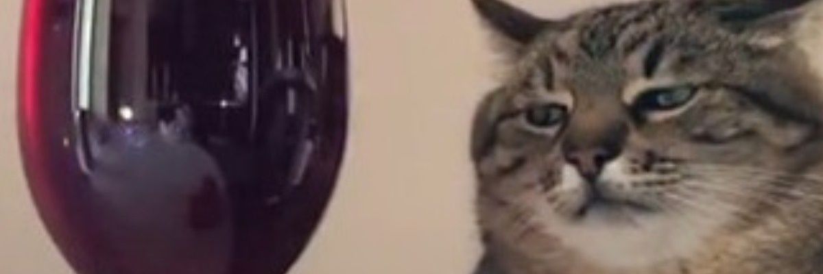 clramente's profile banner image