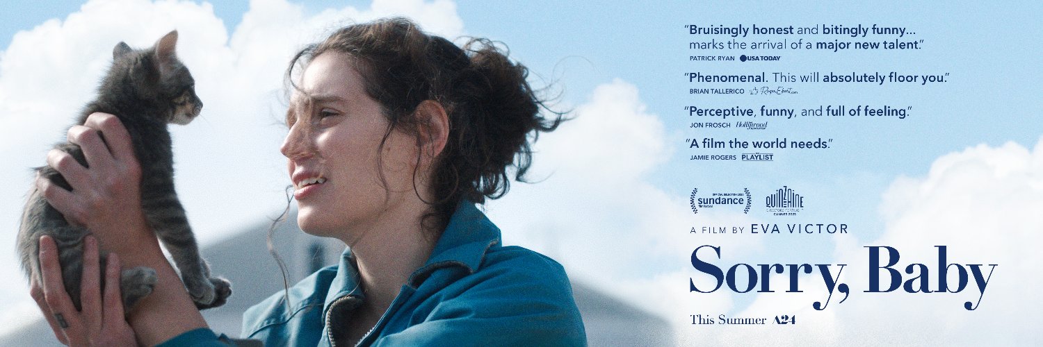 Sorry, Baby banner