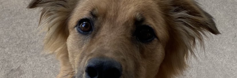CrockerBailey's profile banner image