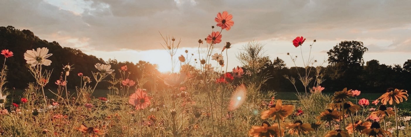 madiii09's profile banner image