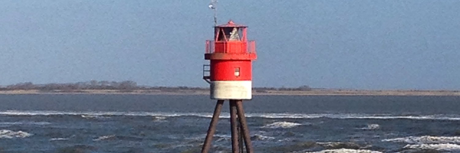 Rindenmulch Diggums banner