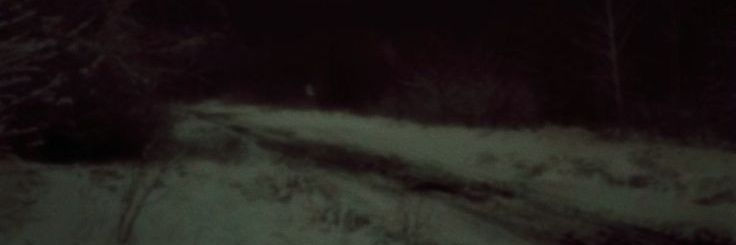 secret freak's banner