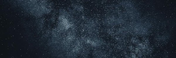 lily_lils0 Profile Banner