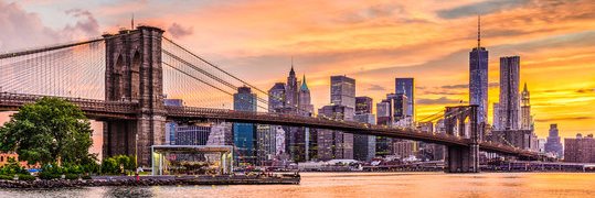 Michael Fitzsimmons banner