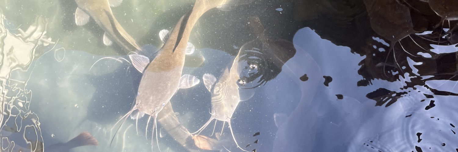 sactionhub's profile banner image