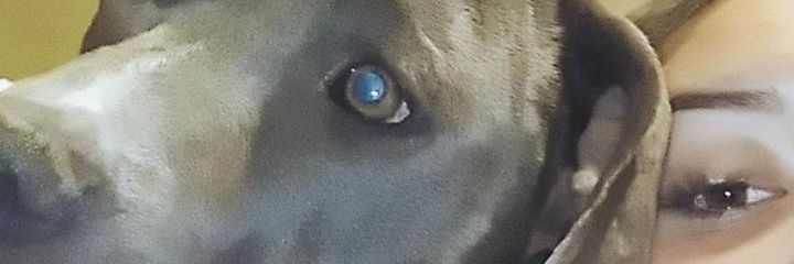 camiM_98's profile banner image
