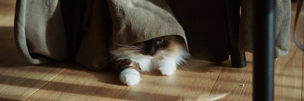 hayashiwithnote Profile Banner