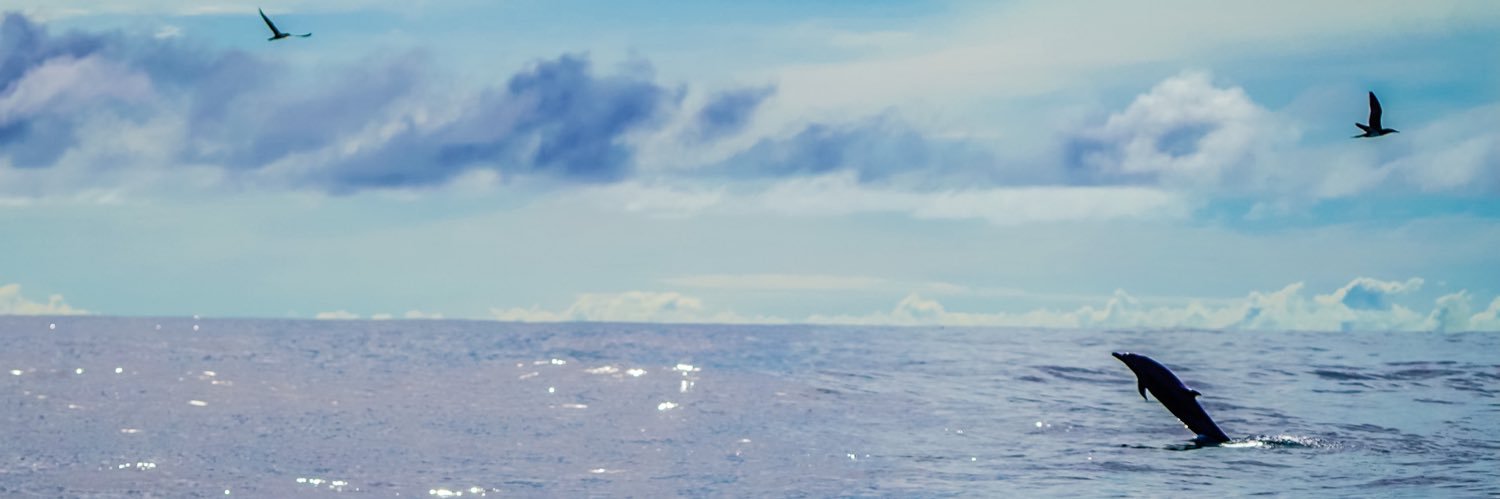 ashleighaa's profile banner image