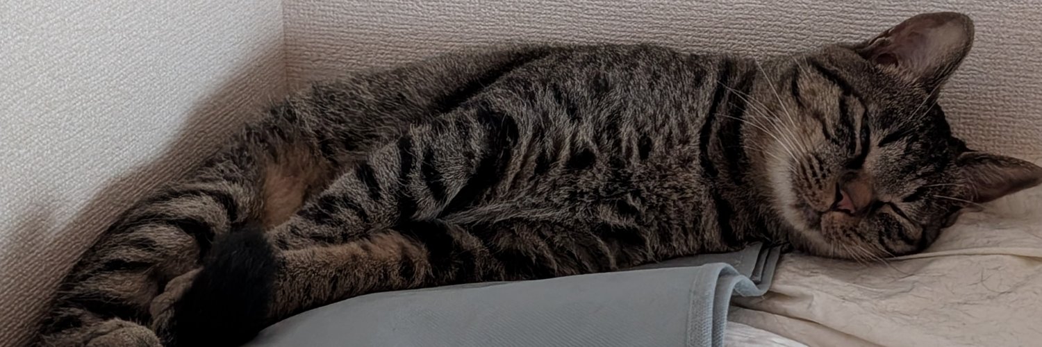 ohhowz's profile banner image