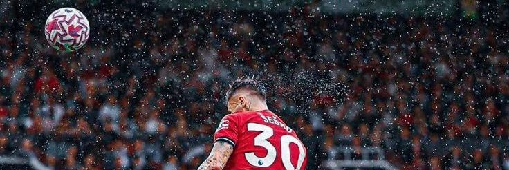 Untammed™️ 😎 🗿 banner