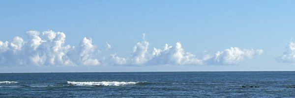 harapekonisuto Profile Banner