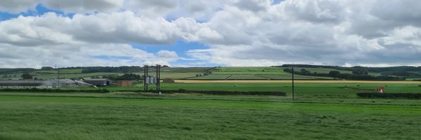 simptop Profile Banner