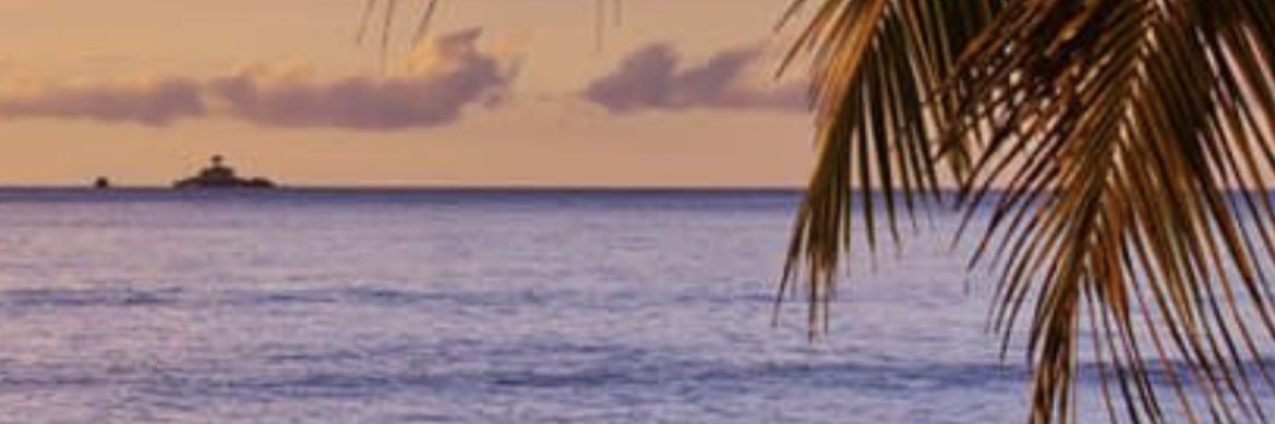 nick_crowe09's profile banner image