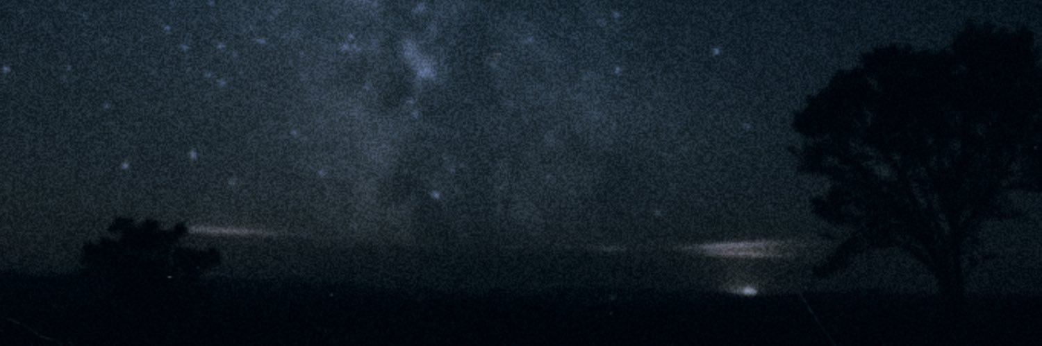 communist cat banner