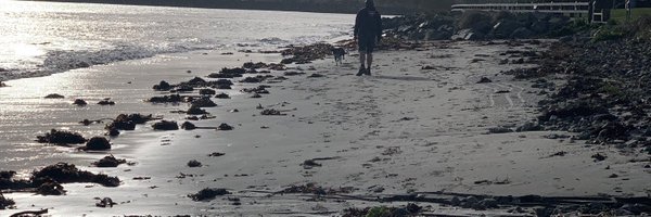 anne2158 Profile Banner