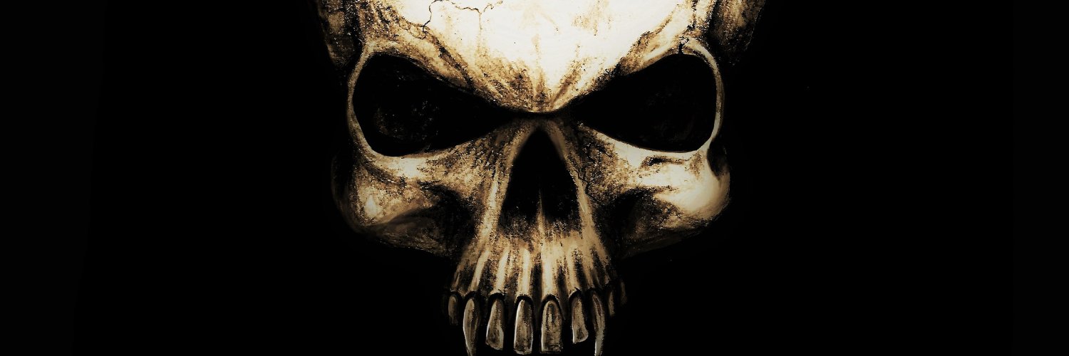 stautrock's profile banner image