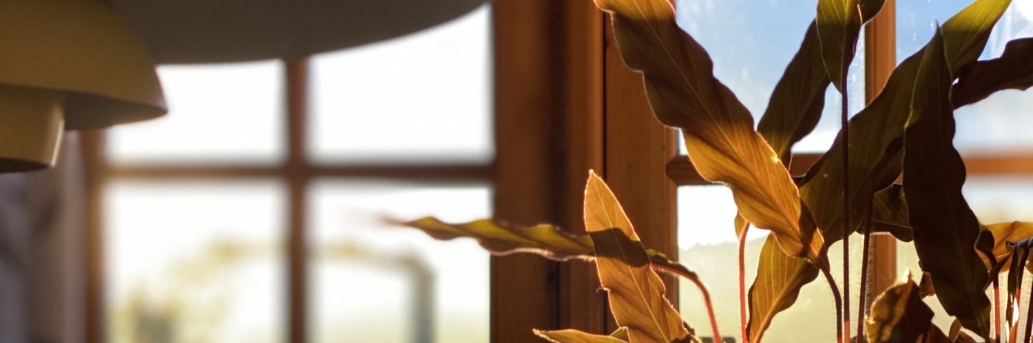 Fccrillek's profile banner image
