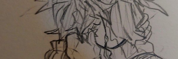 ZqZq_chan Profile Banner