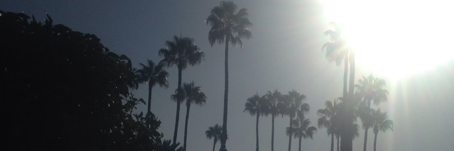 abbiebird_'s profile banner image