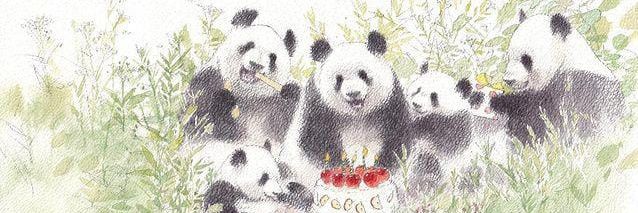 🐼 Pandronikki 🐼 banner