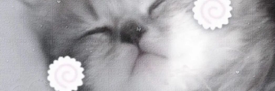 只是一个宅 banner